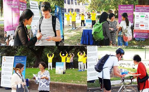 '图1～2：法轮功学员在市中心贝尔莫公园（Belmore Park）的主街上展示法轮功的五套功法和真相展板'