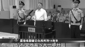 仇和以“受贿罪”被判处有期徒刑14年半。（网络图片）