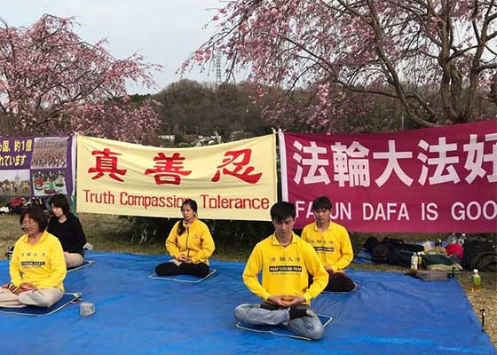 在日本丰田樱花节上介绍法轮功