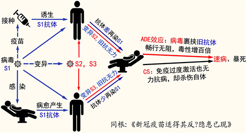 '图1：武汉肺炎（新冠病毒）的严重隐患示意图（作者绘制）'