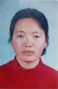 '原伊春市法轮功学员王淑波'