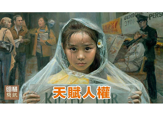 视频：人人有人权，否则无人有人权